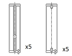 Crankshaft Bearing